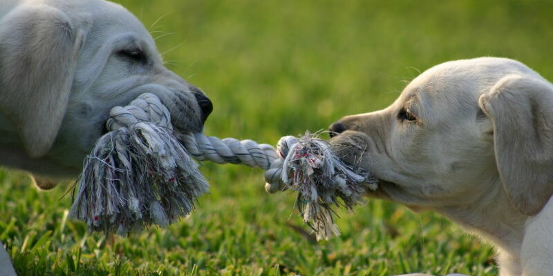 Streit in der Beziehung