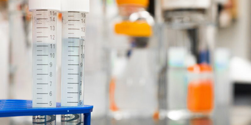 Zusatzstoffe in Mikronährstoffpräparaten Zusatzstoffe in Mikronährstoffpräparaten