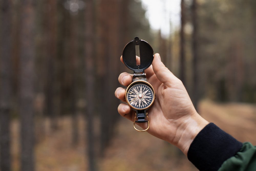 Ihr Kompass in der Welt narzisstischer Verzerrungen